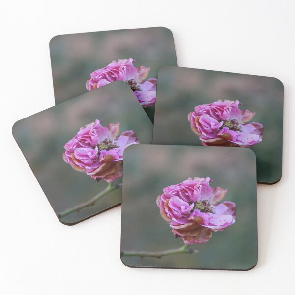 Item preview, Late Autumn Rose designed and sold by Joan van der Wereld.
