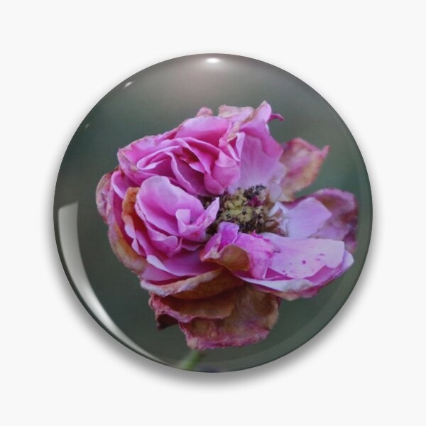 Item preview, Rosa de finales de otoño designed and sold by Joan van der Wereld.