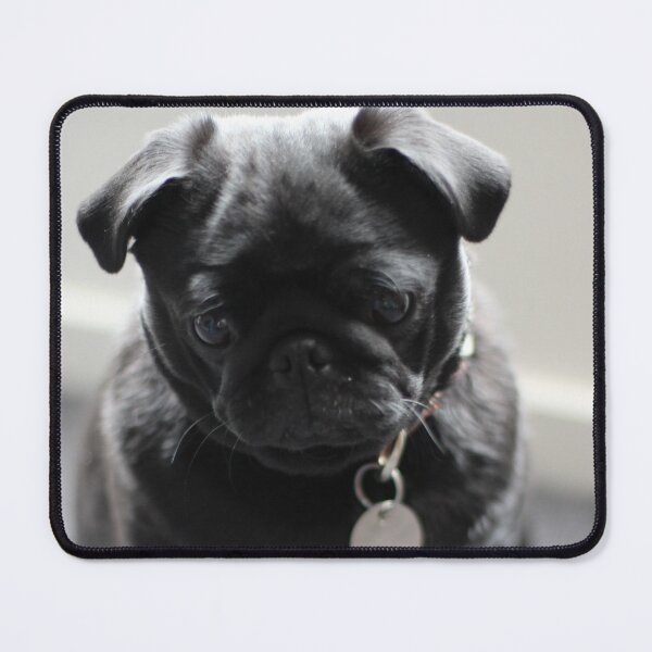 Item preview, Bells (pug Dog) designed and sold by SilentlyRob668.