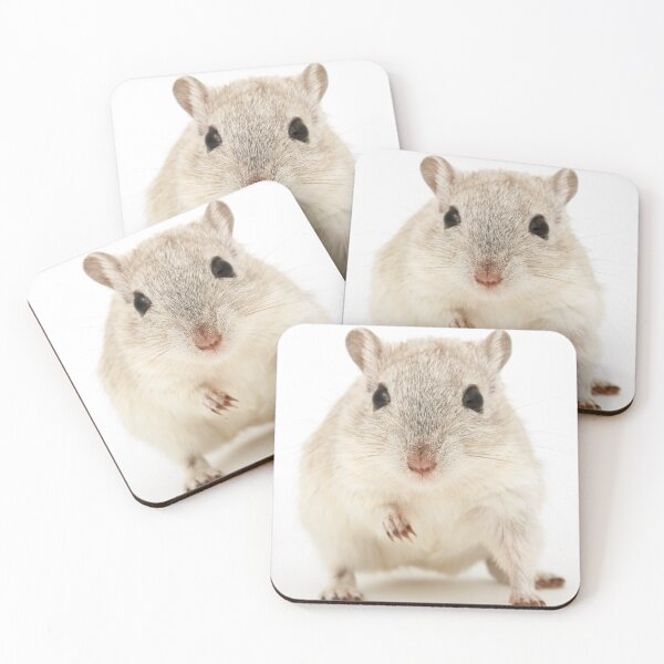 Item preview, Cute Baby Hamster designed and sold by cgroenewald.
