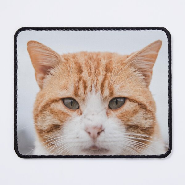 Item preview, Wise cat designed and sold by shadone.