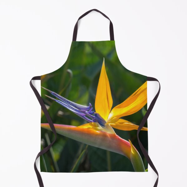 Item preview, Strelitzia Reginae - Bird of Paradise designed and sold by Georgia Mizuleva.