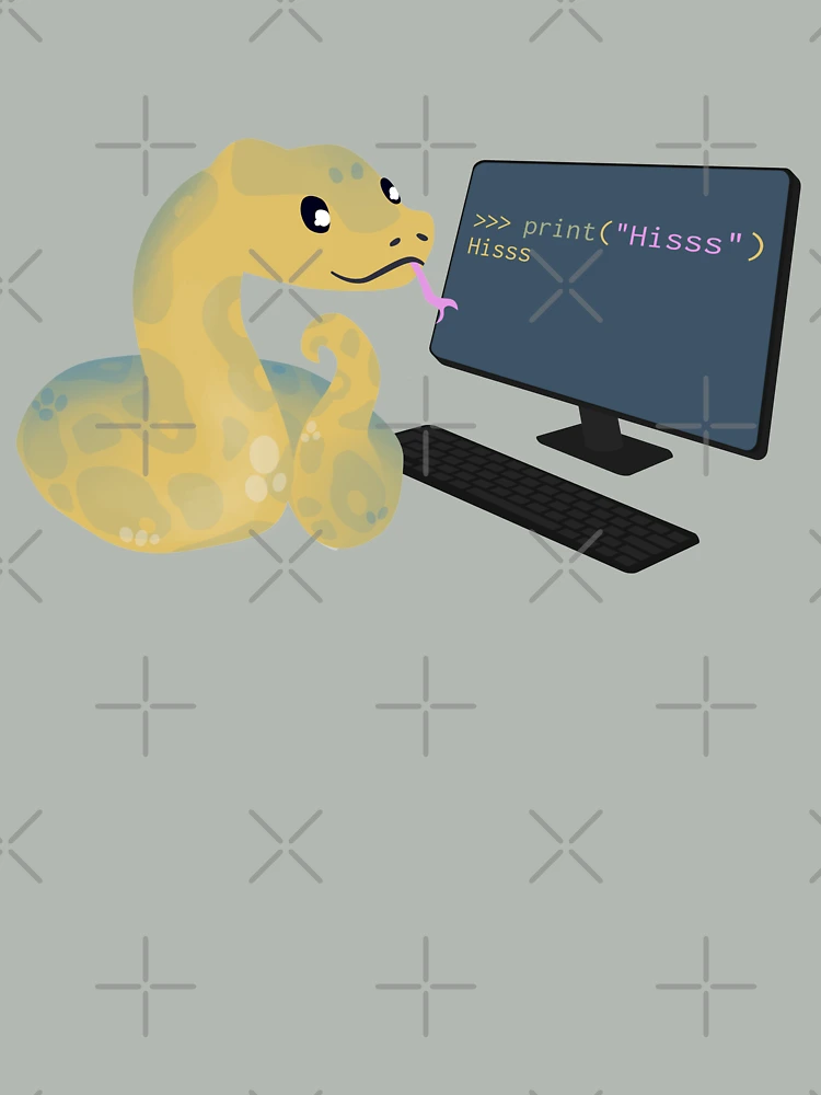 Thumbnail 4 of 4, Boxy T-Shirt, Python learns python designed and sold by visualizards.