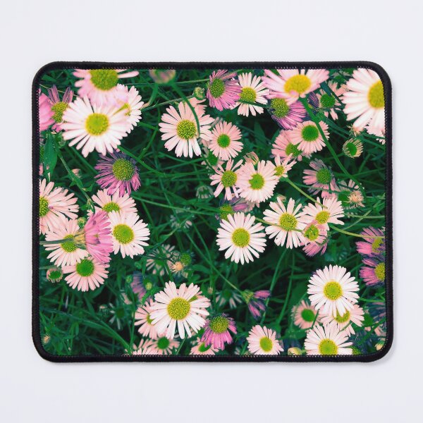 Item preview, Little pink daisies designed and sold by Greengardens36.