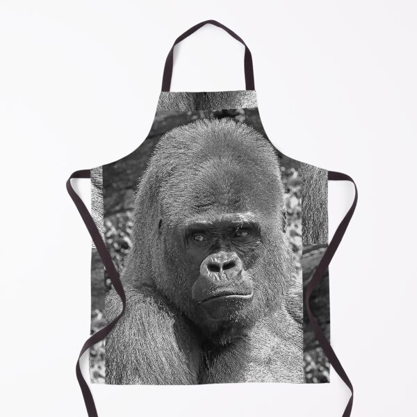 Item preview, r807/ New finition 2021: Gorille " Dos Argenté " 2 (c) (h) n -b " Portrait " Okaio Créations - Olavia - Olao designed and sold by o.okaïo.