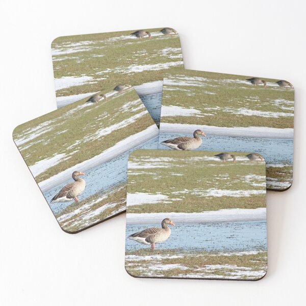 Item preview, Greylag Geese on a flooded meadow in winter (with snow) designed and sold by Calidris Fotografie Steffi & Ben Köppler.