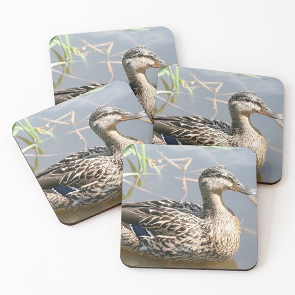 Item preview, Mallard designed and sold by Calidris Fotografie Steffi & Ben Köppler.