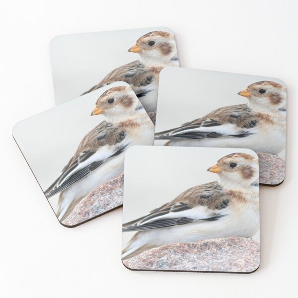 Item preview, Snow Bunting designed and sold by Calidris Fotografie Steffi & Ben Köppler.