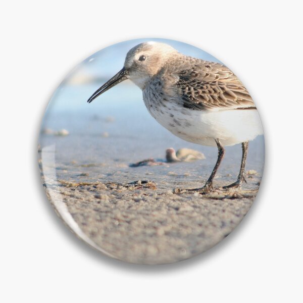 Item preview, Dunlin designed and sold by Calidris Fotografie Steffi & Ben Köppler.