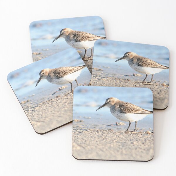 Item preview, Dunlin designed and sold by Calidris Fotografie Steffi & Ben Köppler.