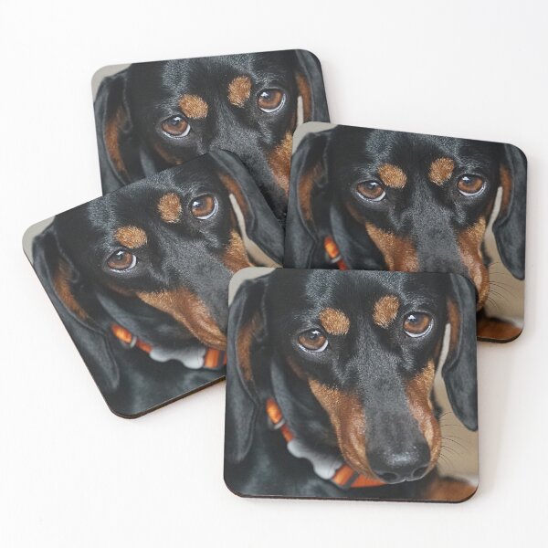 Item preview, Perro salchicha hot dog poster dogs  designed and sold by Tropical Blood.