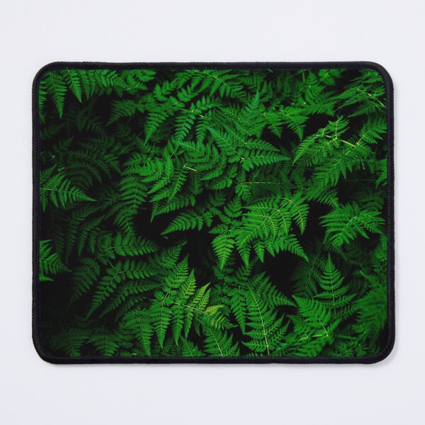 Item preview, Fern leaves background designed and sold by Artistic Media.