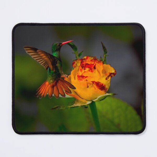 Item preview, Tom And The Rosebud designed and sold by alabca.