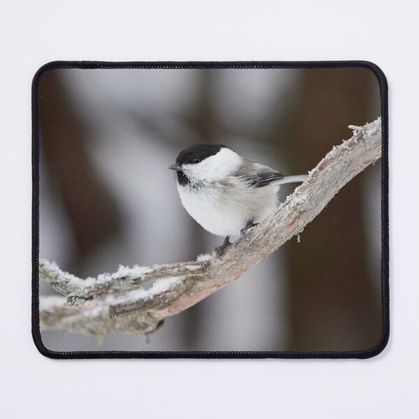 Item preview, Reflections in the eye. Willow tit designed and sold by Jouko Lehto Photography.