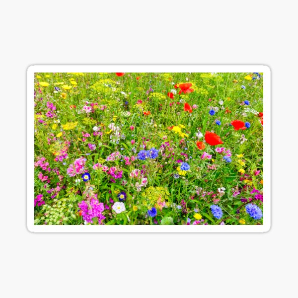 Item preview,   Wildflower Meadow with Colorful Flowers     designed and sold by HappyBunny3.