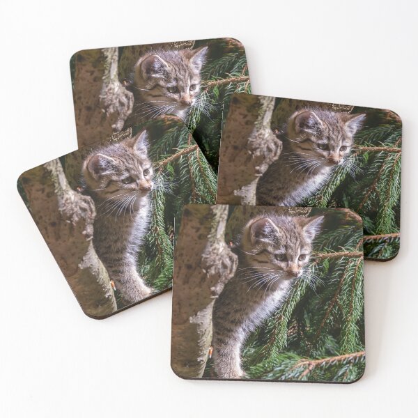 Item preview, Wild cat baby designed and sold by Ingo Gerlach.
