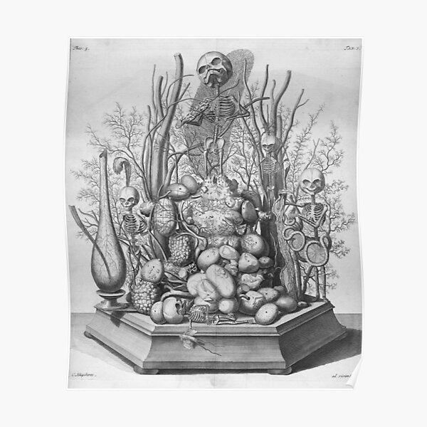 "Macabre Aesthetics Anatomical Thesaurus by Frederik Ruysch" Poster