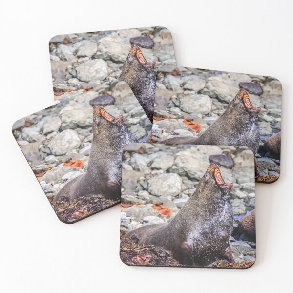 Item preview, Fur seal at Cape Foulwind, New Zealand designed and sold by Lyl Dil Creations.