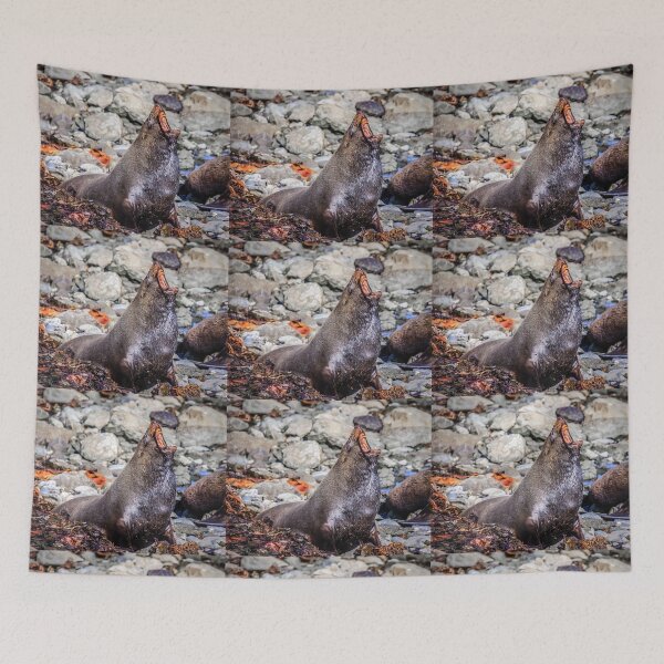 Item preview, Fur seal at Cape Foulwind, New Zealand designed and sold by Lyl Dil Creations.