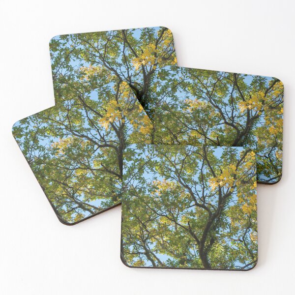 Item preview, Autumn Branches designed and sold by time-wornPhoto.
