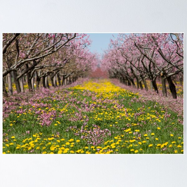 Item preview, Blossom Heaven designed and sold by Marilyn Cornwell.