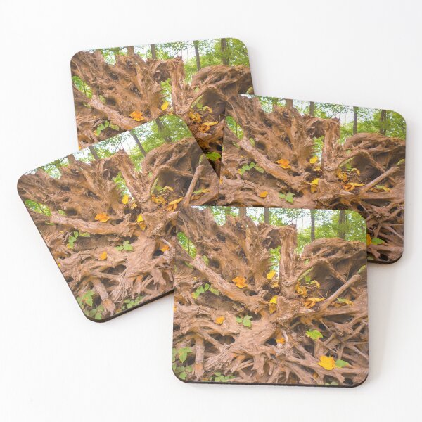 Item preview, Autumn Trees Roots designed and sold by Bill Spengler's Photographic Thoughts.