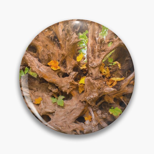 Item preview, Autumn Trees Roots designed and sold by Bill Spengler's Photographic Thoughts.