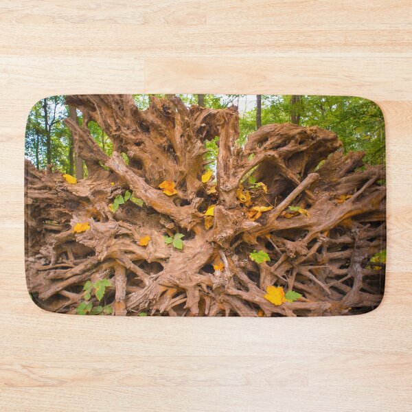 Item preview, Autumn Trees Roots designed and sold by Bill Spengler's Photographic Thoughts.