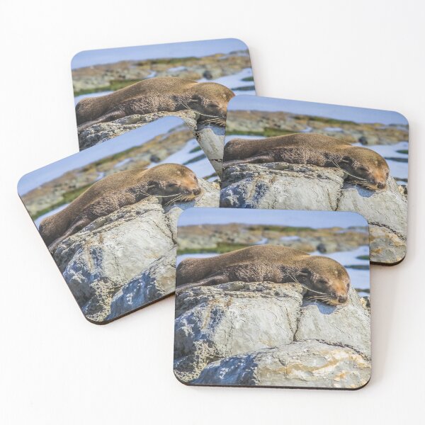 Item preview, Lazy fur seal on a rock, Cape Foulwind, New Zealand designed and sold by Lyl Dil Creations.