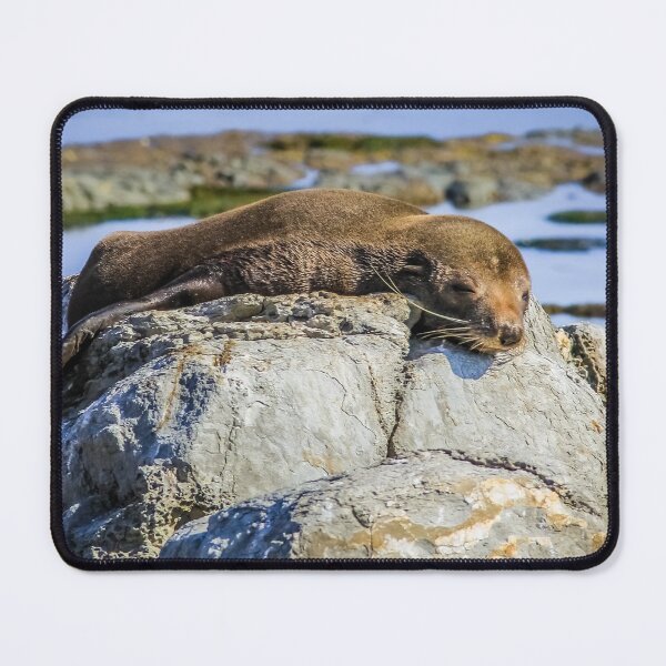 Item preview, Lazy fur seal on a rock, Cape Foulwind, New Zealand designed and sold by Lyl Dil Creations.