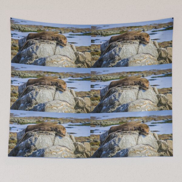 Item preview, Lazy fur seal on a rock, Cape Foulwind, New Zealand designed and sold by Lyl Dil Creations.