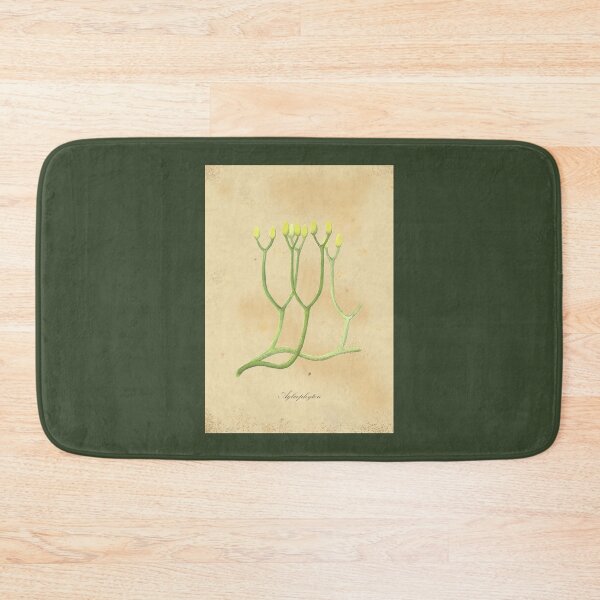 Item preview, Aglaophyton, fossil plant designed and sold by SharonRoseR.