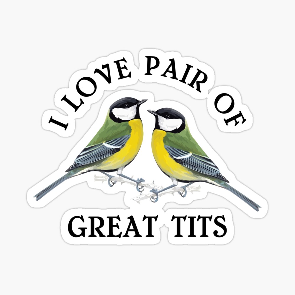 pair of great tits birdwatcher birdwatching Bird Lovers