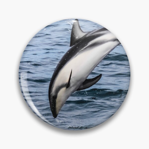 Item preview, A dusky dolphin designed and sold by Lyl Dil Creations.