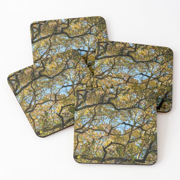 Item preview, Maze of Branches designed and sold by time-wornPhoto.