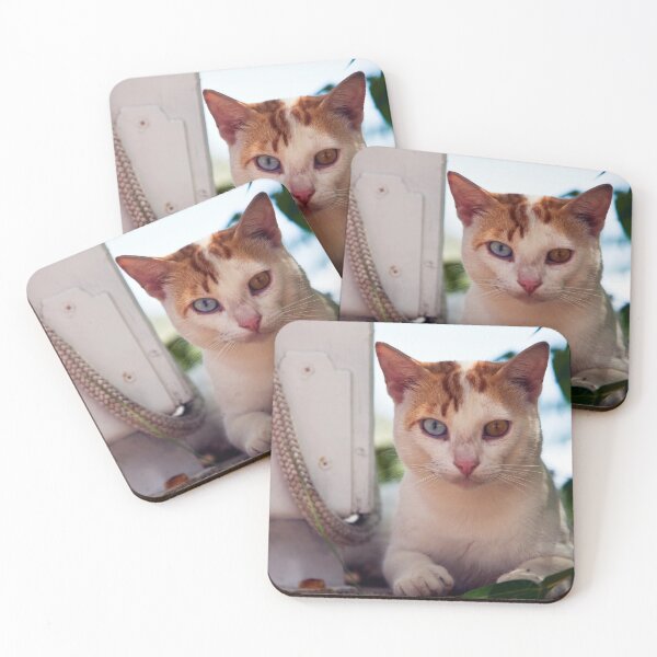Item preview, Cats eyes designed and sold by Paul Thompson Photography.