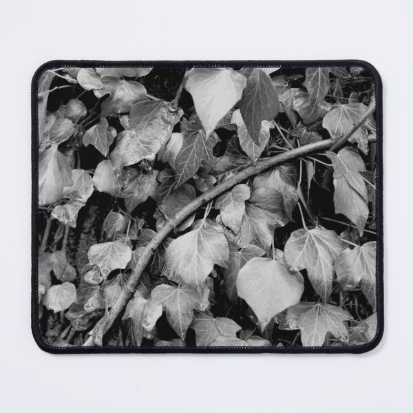 Item preview, Ivy - No.2 designed and sold by Paul-Berry.