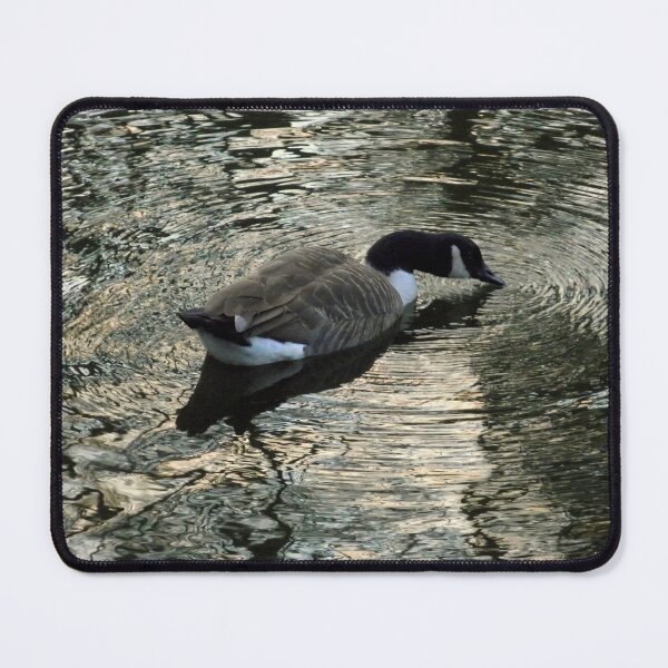Item preview, Goose on the Water designed and sold by john-e.