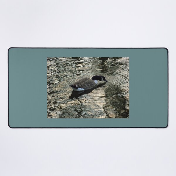 Item preview, Goose on the Water designed and sold by john-e.