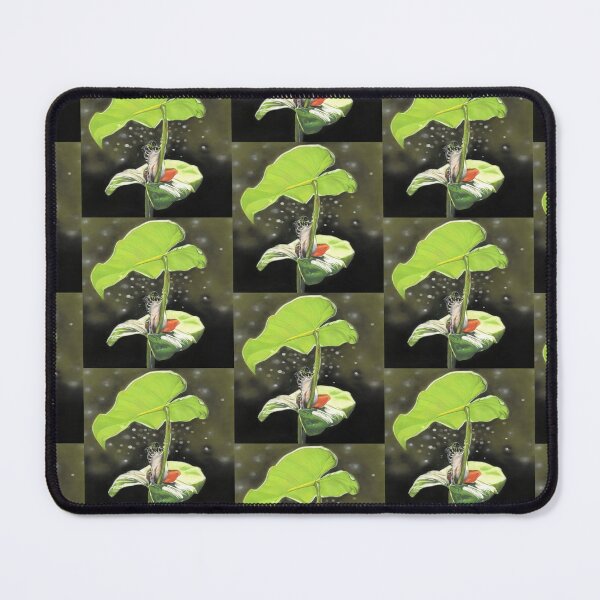 Item preview, New Dawn Frog art designed and sold by IslesArt.