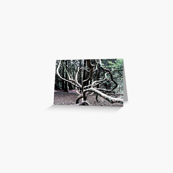Item preview, Twisted Branches designed and sold by EGeorgia2498.