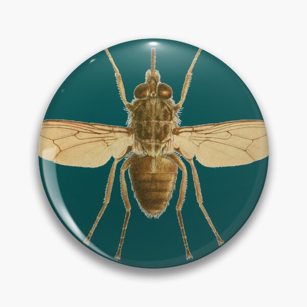 Item preview, Vintage Victorian House Fly Insect Goth Speciman Design  designed and sold by Candlewood Museum & Gift Shoppe.