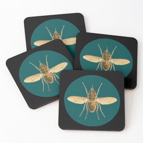 Item preview, Vintage Victorian House Fly Insect Goth Speciman Design  designed and sold by Candlewood Museum & Gift Shoppe.