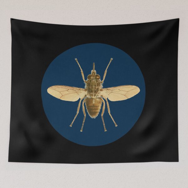 Item preview, Vintage Victorian House Fly Insect Goth Speciman Design  designed and sold by Candlewood Museum & Gift Shoppe.