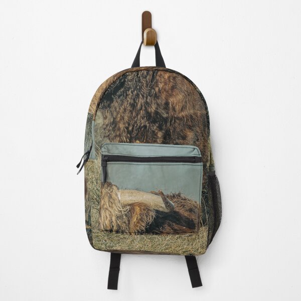 Item preview, I’se the B'y. (I'm the boy), Highland Perthshire, Scotland designed and sold by mucklepawprint.