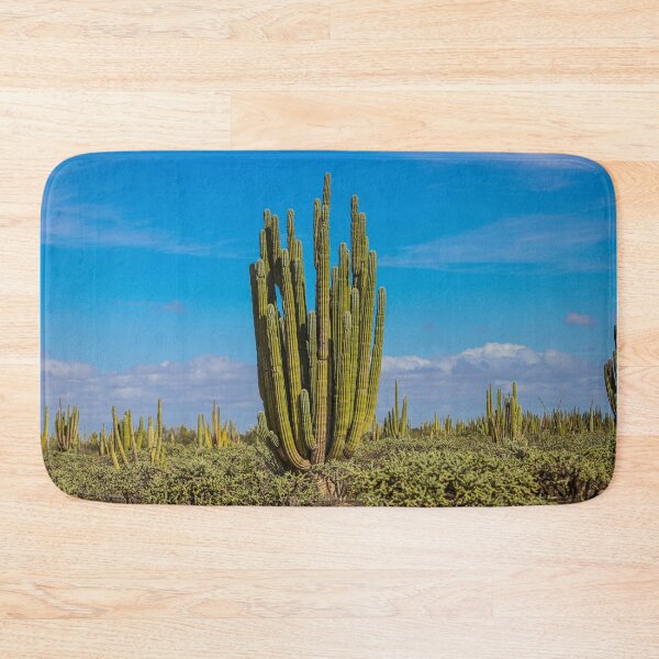 Item preview, Forest of cacti, cardón saguaros, choya and flora in the surroundings of Kino and San Nicolas in the Sonora desert. December 2021 in Hermosillo, Mexico. designed and sold by photo1979.