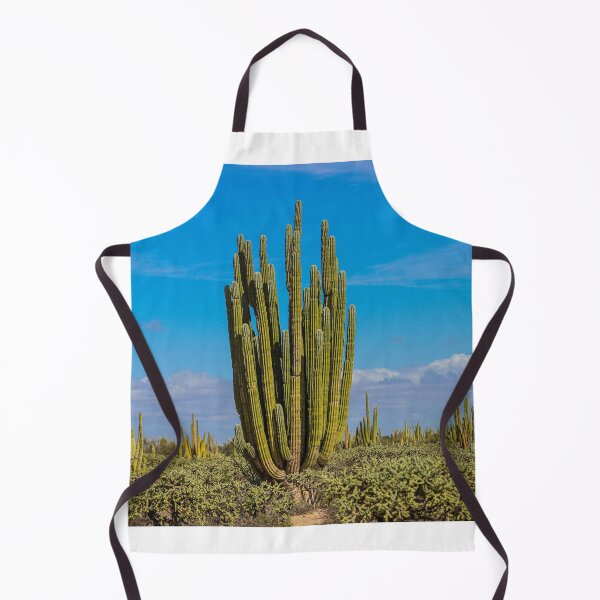 Item preview, Forest of cacti, cardón saguaros, choya and flora in the surroundings of Kino and San Nicolas in the Sonora desert. December 2021 in Hermosillo, Mexico. designed and sold by photo1979.