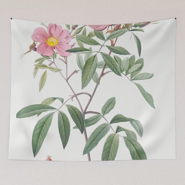 Item preview, Les Roses by Pierre-Joseph Redouté designed and sold by EsotericBotanic.