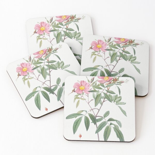 Item preview, Les Roses by Pierre-Joseph Redouté designed and sold by EsotericBotanic.