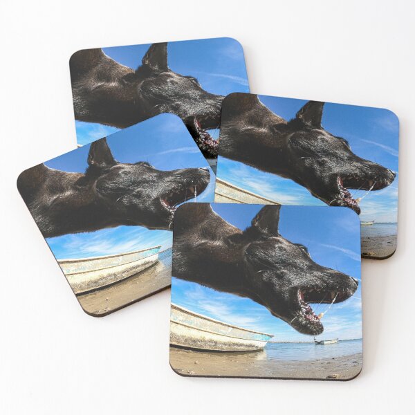 Item preview, A black dog on the beach and a panga or fishing boat from the La Cruz estuary in Kino viejo, Sonora, Mexico. The dog appears to eat the fishing boat and a pelican designed and sold by photo1979.